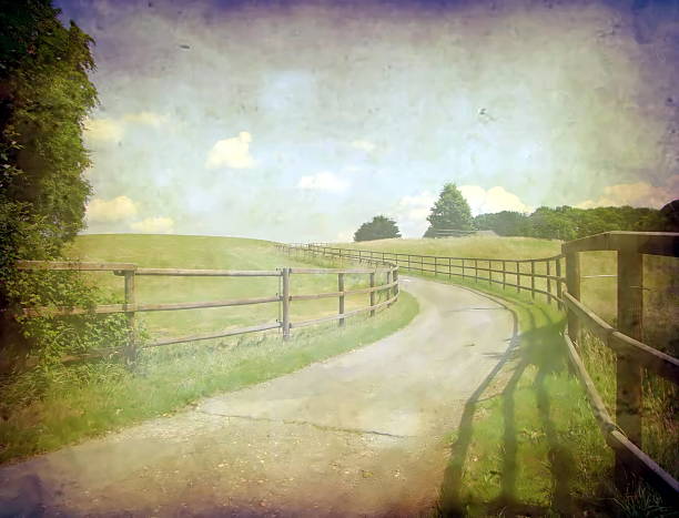 Road, meadow and forest with grunge effect