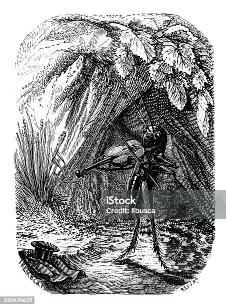 Antique Illustration Of Cricket Playing Violin Stock Illustration - Download Image Now - Cricket - Insect, 19th Century Style, 2015