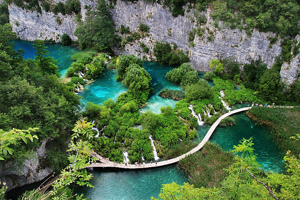 lago azul-turquesa com waterfals em plitvica - croatia nature tree plant - fotografias e filmes do acervo