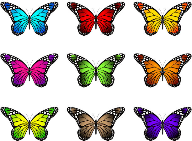 Set of Realistic Colorful Butterflies Isolated for Spring Set of Realistic Colorful Butterflies Isolated for Spring. Editable Vector Illustration butterfly purple blue isolated stock illustrations