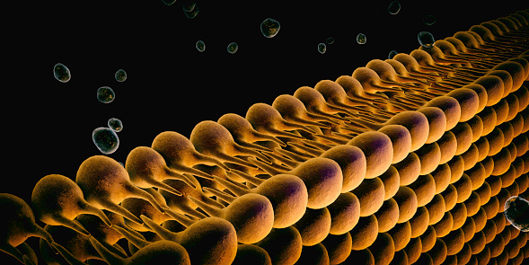 Plasma Membrane Of  Cell With other molecules, 3d render
