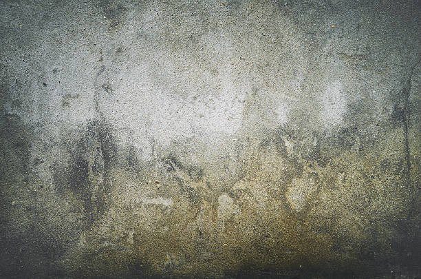 istock gray grunge old wall texture, concrete cement background 535444930