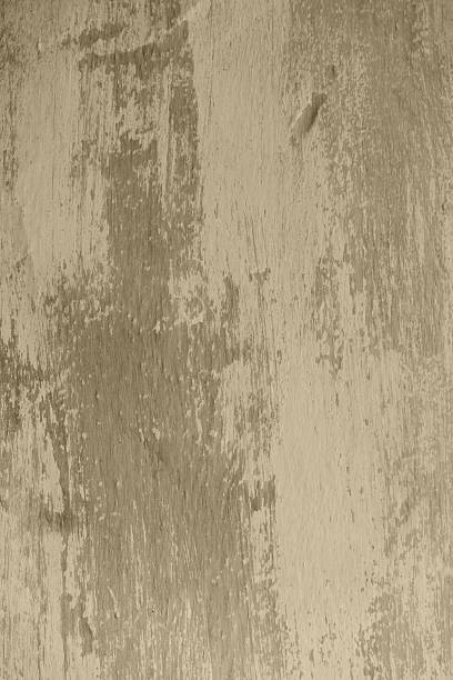 istock photo of the wall 535446566