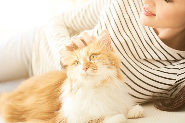 istock Pretty young woman is playing with pet 535446658