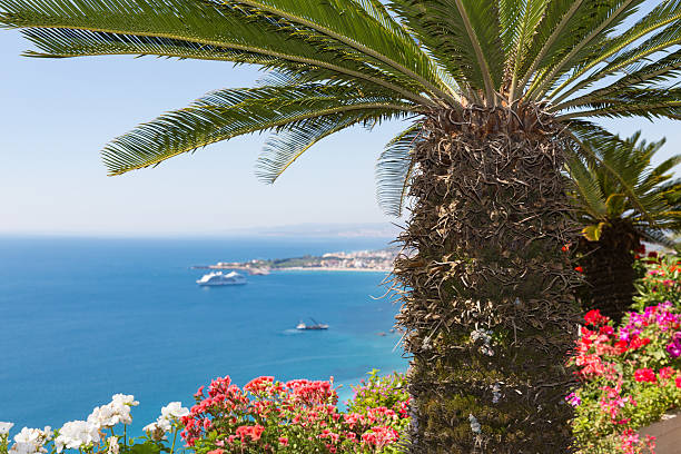 istock Palm tree and geranium flowers with seascape at Sicily 535449298