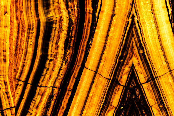 istock grunge marble stone patterned texture background, ancient petrified wood. 535450042