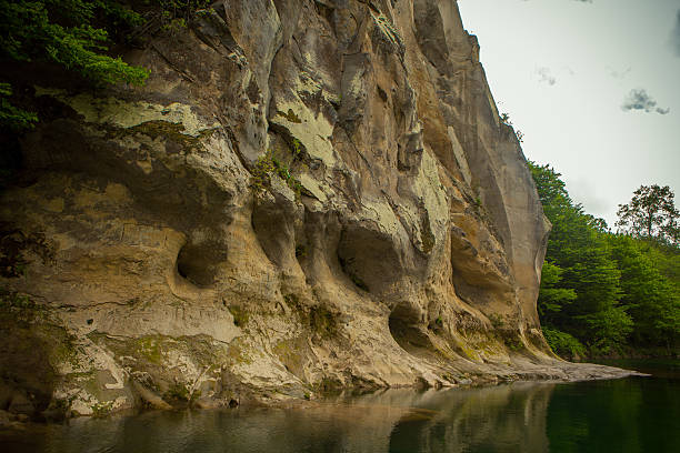 istock rock reflected in the river and the forest 535450160