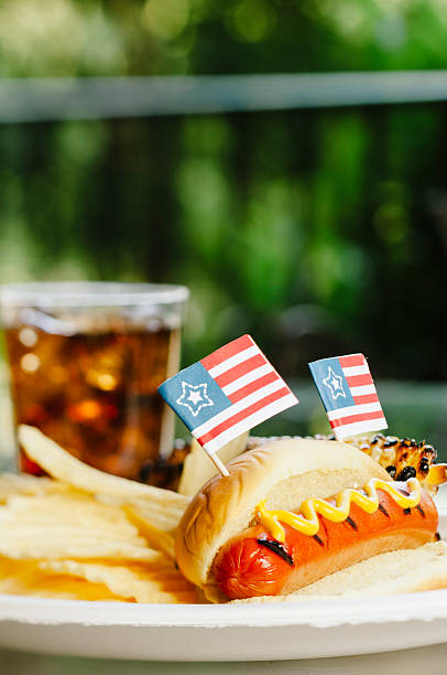 istock Patriotic Hotdog dinner 535450690