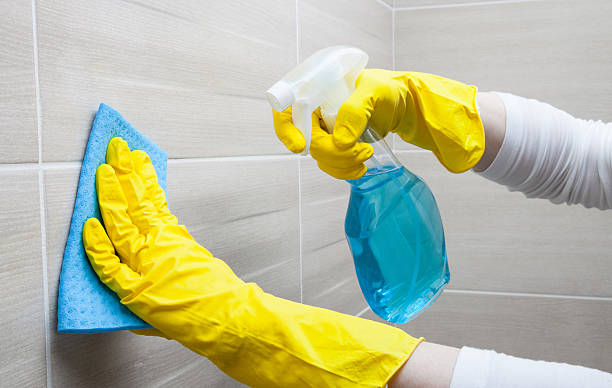 istock Housemaid cleaning a bathroom 535451354