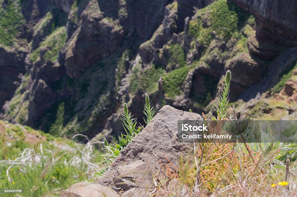 Precipice in the mountains 2015 Stock Photo