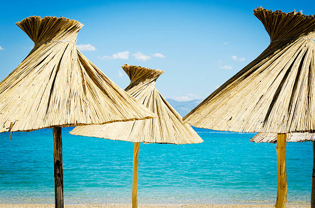 Beautiful summer beach; natural Parasol on the island.