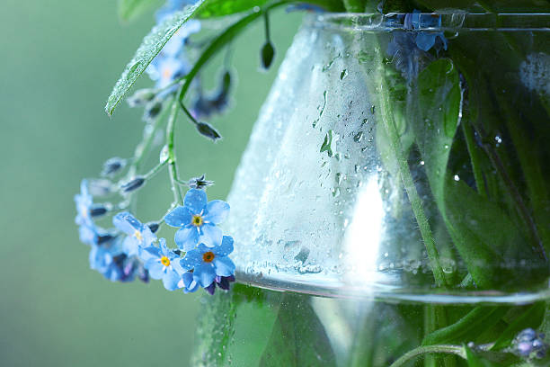 istock vase with forget-me on the window 535456487