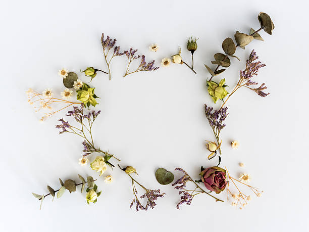 istock Frame of dry flowers background. Flat lay, top view 535460234