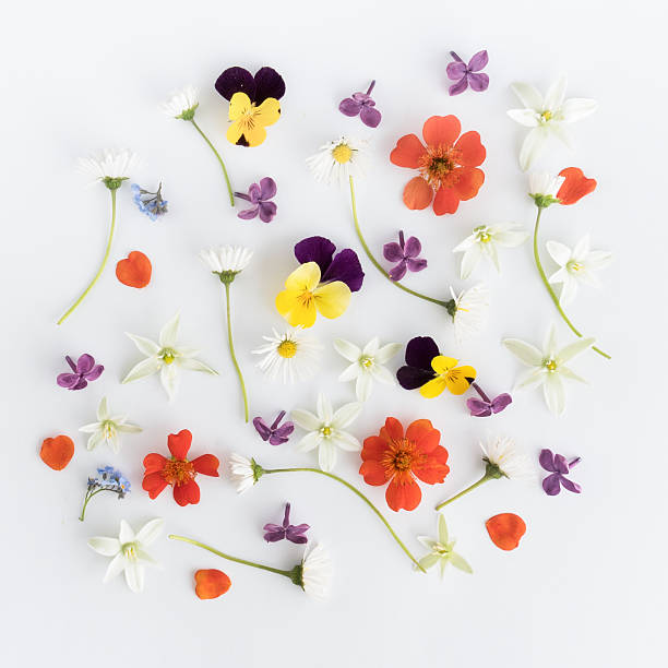 istock Colourful bright pattern made of flowers. Flat lay, top view 535460582