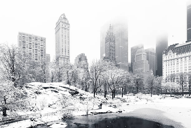Winter in Central Park, NY The Pond in Central Park on a foggy winter morning, as viewed from Gapstow Bridge. Low clouds cover Manhattan skyscrapers blizzard photos stock pictures, royalty-free photos & images