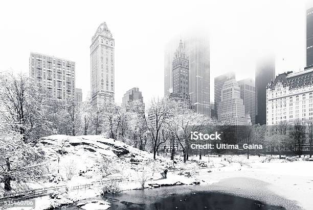 Winter In Central Park Ny Stock Photo - Download Image Now - City, Winter, New York City