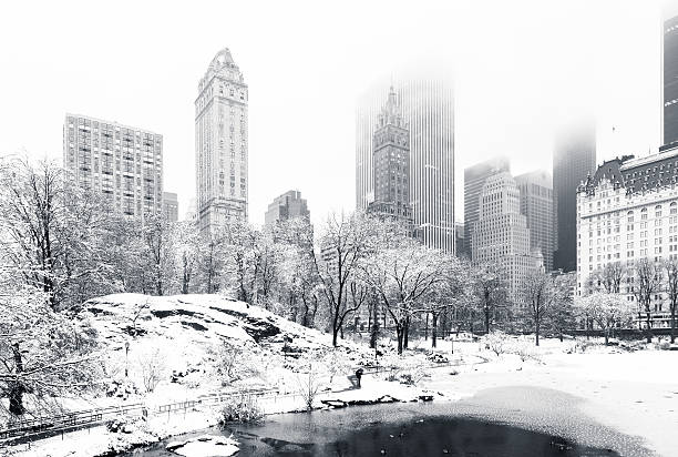 inverno no parque central, nova iorque - landscape city manhattan skyline imagens e fotografias de stock