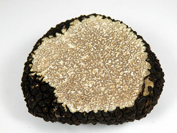 perigord truffle - truffle tuber melanosporum mushroom 個照片及圖片檔