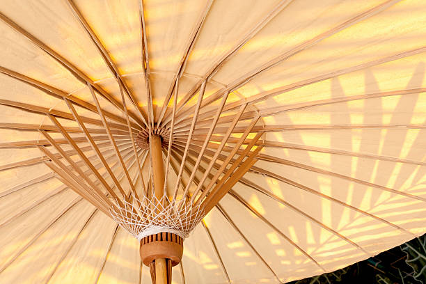 istock Umbrella under the shade of the tree 535462881