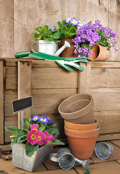 istock garden accessories and flowers 535463619