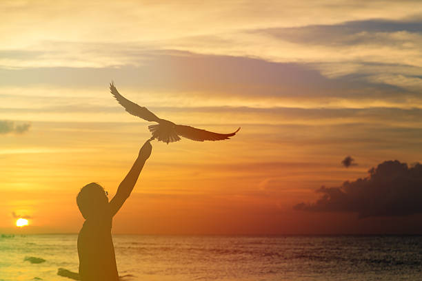 istock silhouette of man feeding seagull at sunset 535464291