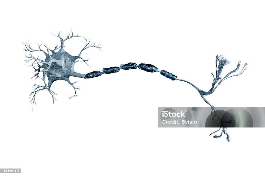 neurons - Lizenzfrei Nervenzelle Stock-Foto