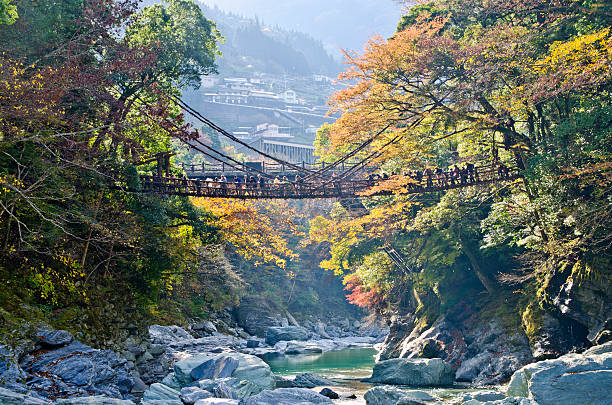 iya valley y kazurabashi vine puente - shikoku fotografías e imágenes de stock