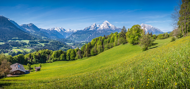 Idyllic landscape in the Alps with traditional mountain chalet and fresh green mountain pastures at sunrise