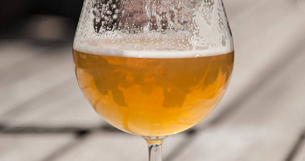 istock Glass of draught beer 535468460