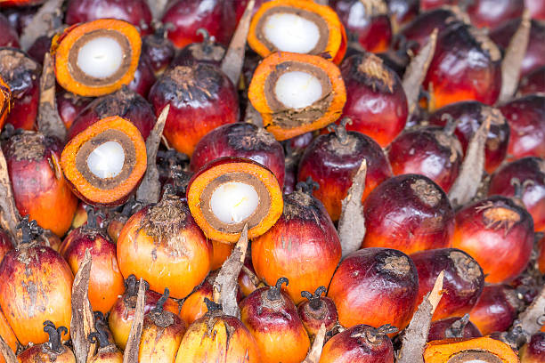istock Palm Oil Fruits 535468641
