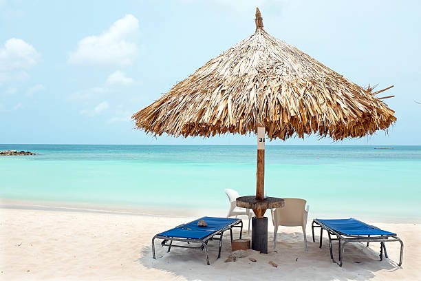 Grass umbrella at the beach on Aruba island Grass umbrella at the beach on Aruba island thatched roof stock pictures, royalty-free photos & images