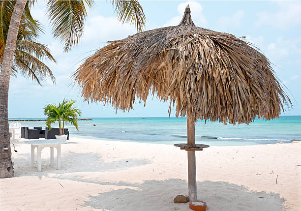 istock Grass umbrella at the beach on Aruba island 535469730