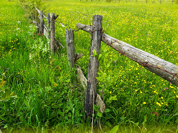 istock countryside fence 535469834
