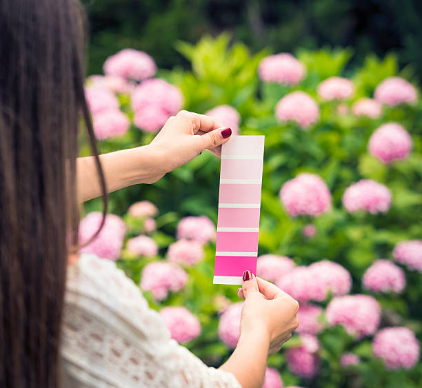 encontrar que a inspiração de cor natural - color match imagens e fotografias de stock