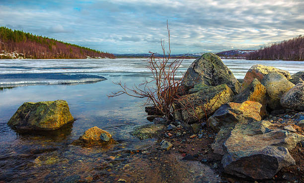 istock The Northern nature in the spring 535470272