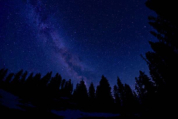 istock Milky Way and Stars above Trees Silhouettes. 535471636