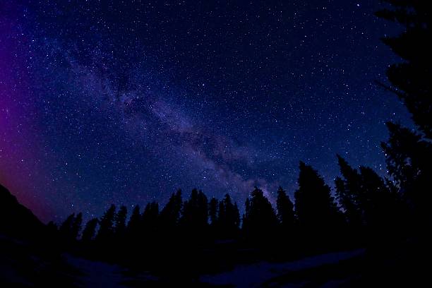 istock Milky Way and Aurora Borealis above Trees Silhouettes. 535472202
