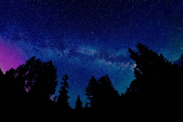 istock Milky Way and Aurora Borealis above Trees Silhouettes. 535472260