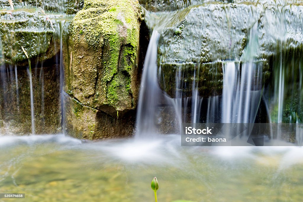 Following Stream Flowing Stream In Tropical Rainforest Stock Photo - Download Image Now ...