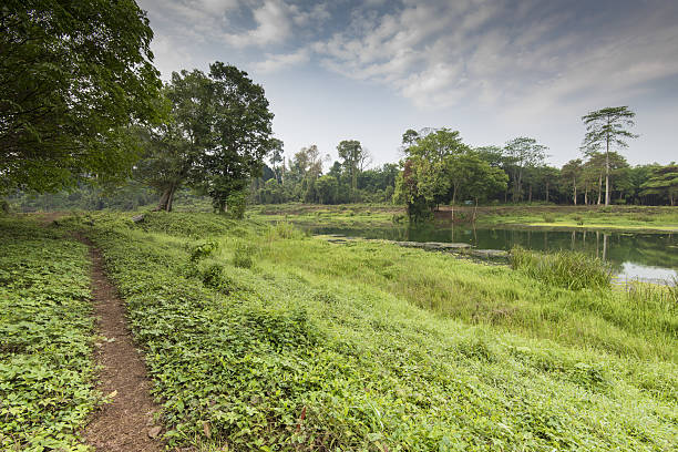 istock Jungle walks forest treks Asia 535475106