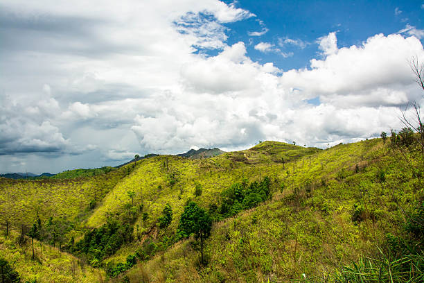 istock Mountain and trees of the rain forest. 535476144