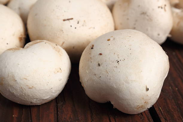 istock Common mushrooms. Agaricus bisporus. 535476184