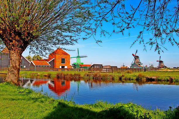 シーン、オランダの風車村にザーンセスカンス,オランダ - netherlands windmill farm farmhouse ストックフォトと画像