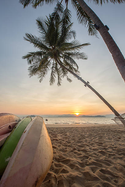 istock Watersport kayak under a palm tree on sand beach 535478630