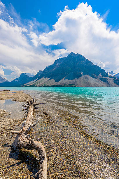 istock Bow Lake, Canadian Rockies 535478765