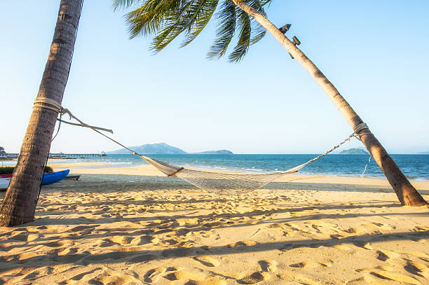 istock hammock on tropical beach and sea 535479358