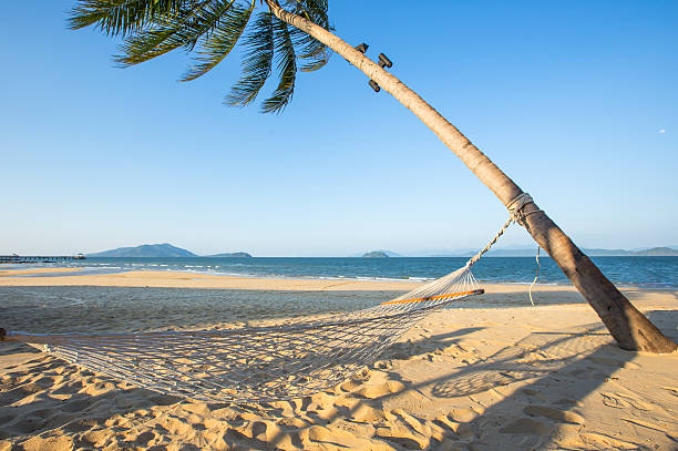 istock hammock on tropical beach and sea 535479464