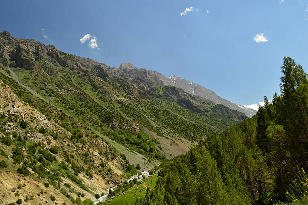 istock Mountain river, Galuyan gorge, Kyrgyzstan 535480055