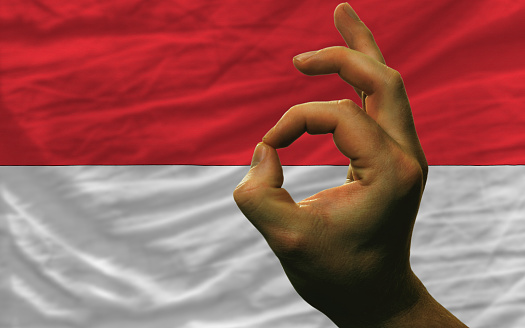 Austrian flag waving
