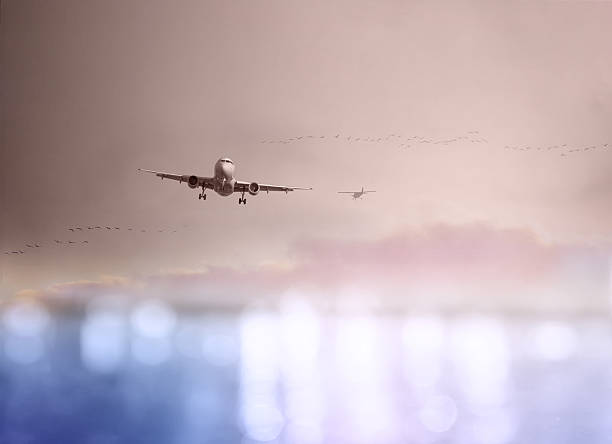 istock Silhouette of an airplane in flight 535480448